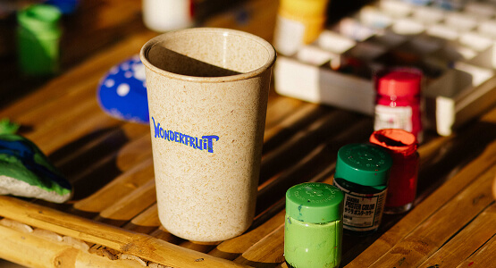 Wonder Cup